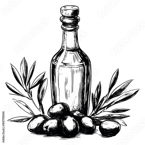 Olive oil bottle set with olives and olive branches hand drawn sketch