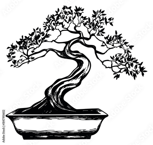 Vintage bonsai tree illustration with twisted trunk hand drawn outline illustration
