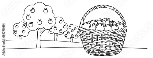 Black and white apple orchard set with basket and trees hand drawn outline illustration