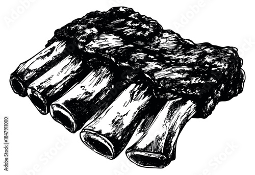 Vintage beef ribs set with bones hand drawn sketch