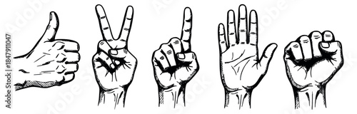 Hand drawn hand gesture icon set with thumb up, peace, number one, open palm and fist