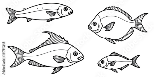 Fish icon set with four species black and white line art