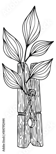 Simple plant with wooden clothespin icon set with leaf line art