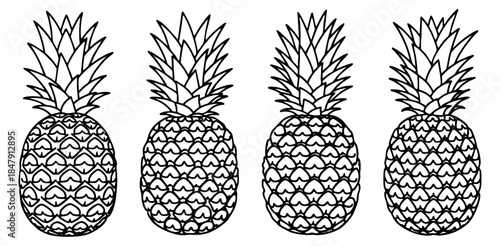 Pineapple icon set with leaves black and white line art