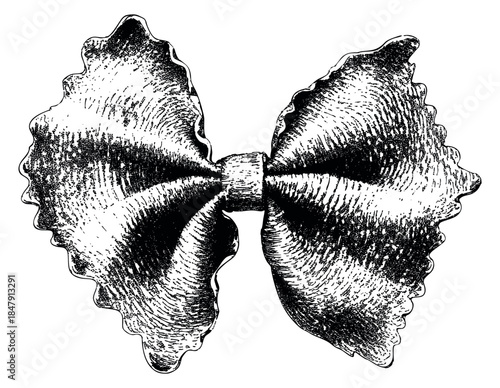 Vintage farfalle pasta illustration hand drawn sketch