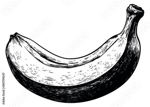 Banana hand drawn sketch