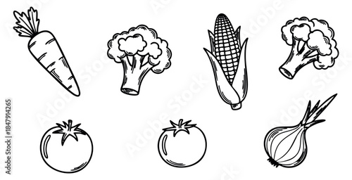 Vegetable icon set with carrot, broccoli, corn, tomato and onion black and white line art