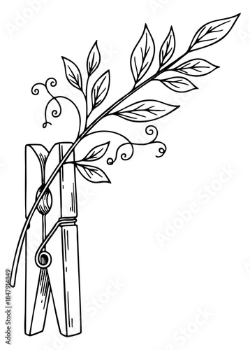 Simple clothespin with leafy twig hand drawn outline illustration