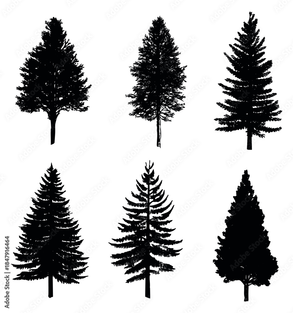 Fototapeta premium Black pine tree silhouettes set with six different shapes minimalist flat vector