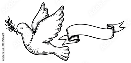 Vintage dove illustration with olive branch and ribbon hand drawn outline illustration