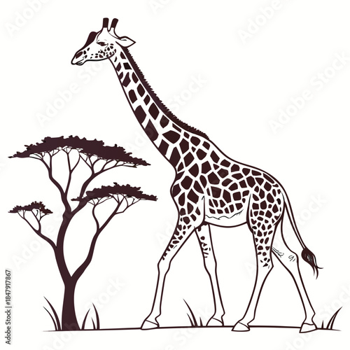 vector animal image free download.