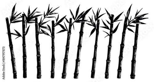 Bamboo stalks set with leaves black and white line art