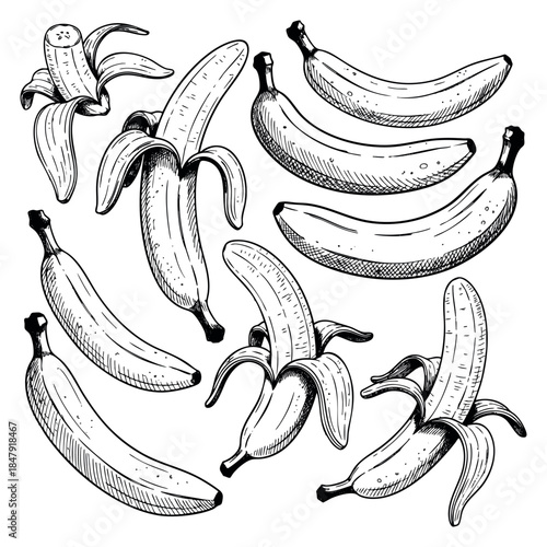 Banana set with peeled and unpeeled fruits black and white line art