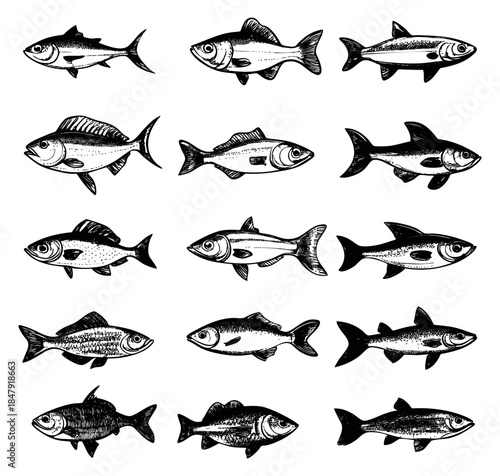 Vintage fish icon set with various species hand drawn outline illustration