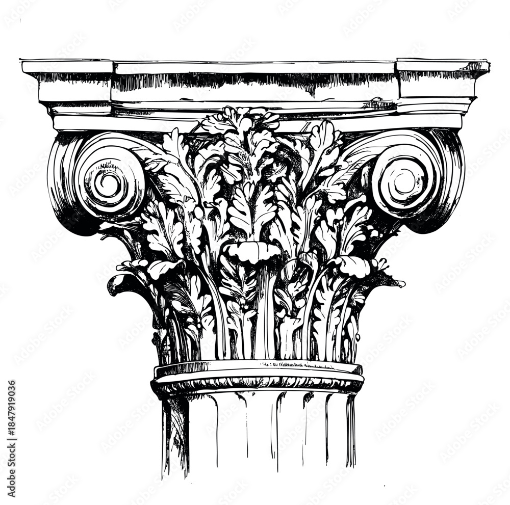 Naklejka premium Vintage Corinthian column illustration with acanthus leaves and volutes hand drawn outline illustration