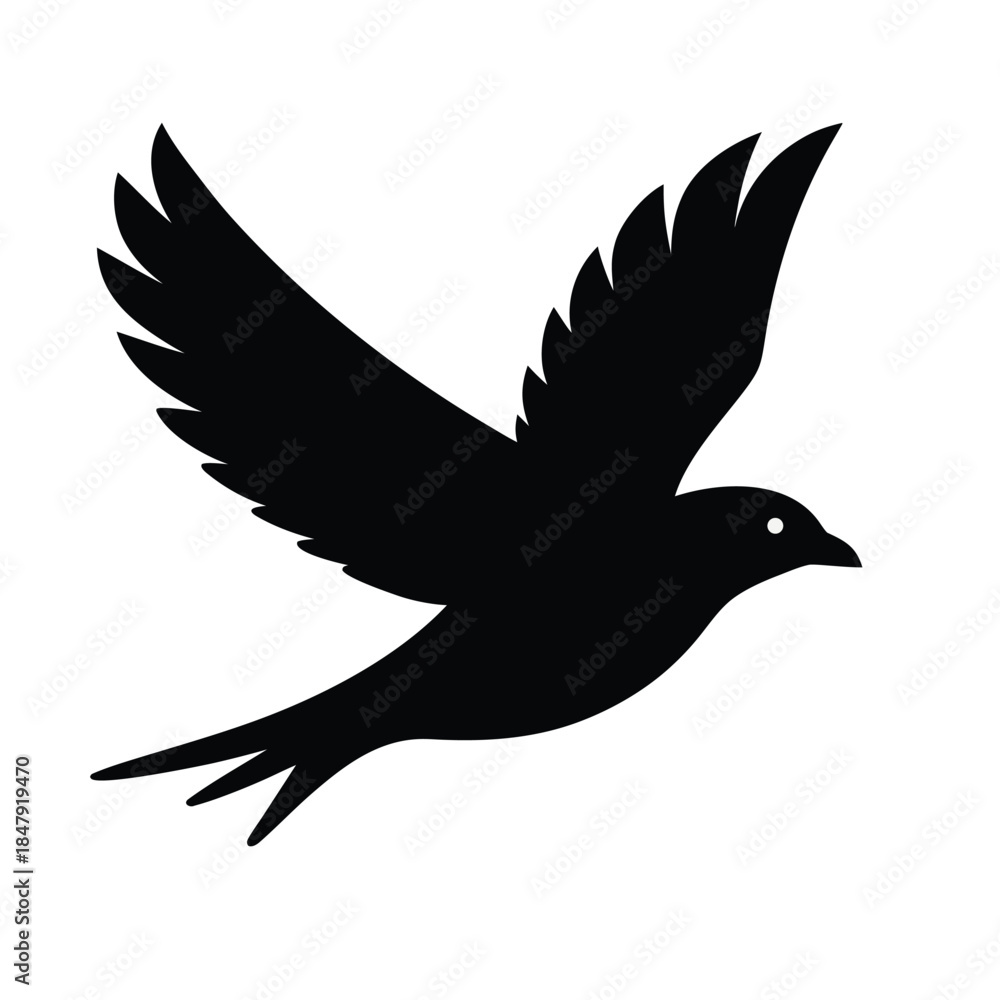 Obraz premium dove in flight