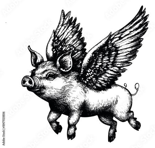Vintage pig with wings illustration hand drawn outline