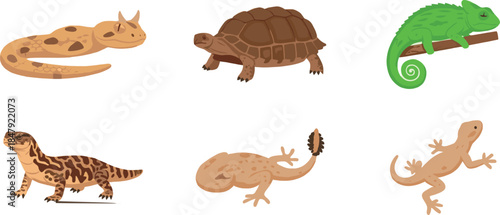 Reptiles and Tortoise Flat Icons Set