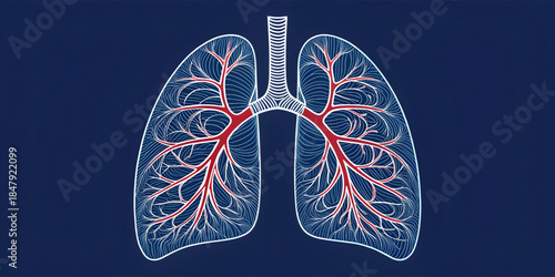 Human lungs medical anatomy illustration on dark background for healthcare and science concepts.
