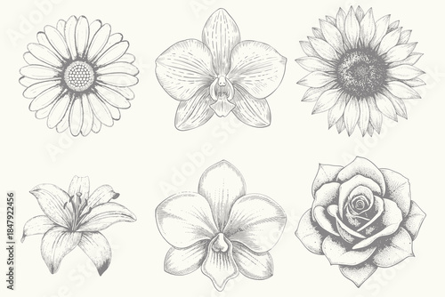 hand drawn Flower vector collection. Floral ink pen sketch tulip, lily, sunflower, orchid, Daisy illustration. Wedding elegant wildflowers for invitation save the date card. Eps 10