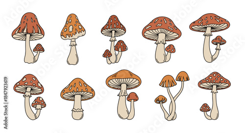 Collection of ten whimsical, hand-drawn mushrooms with various shapes and patterns in rustic earthy tones, isolated on white.