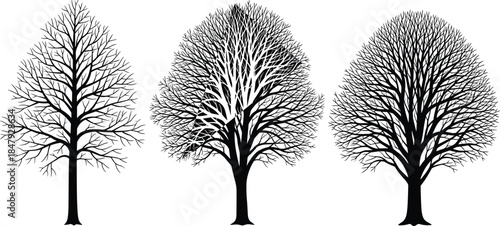 Woman silhouette walking pet dog on a leash in a field of grass and flowers, symbolizing pet ownership, exercise, outdoor lifestyle, and human-animal bond, isolated on white background.