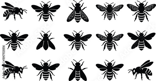 Bee silhouette icons, black vector insects, flying bee graphics, wing pattern variations, entomology design, pollinator illustration set