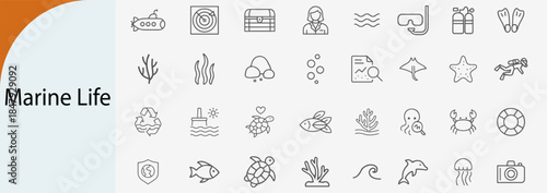marine life and ocean icons, minimal line vector symbol set