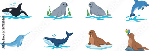 Cartoon marine animals illustrations set