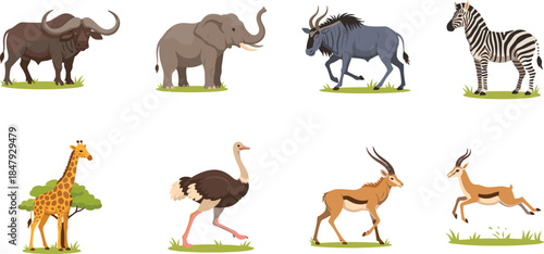 African savanna cartoon animal illustrations set