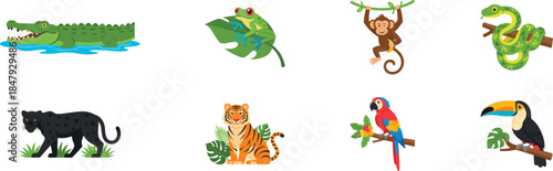 Jungle Animals Cartoon Illustrations Set