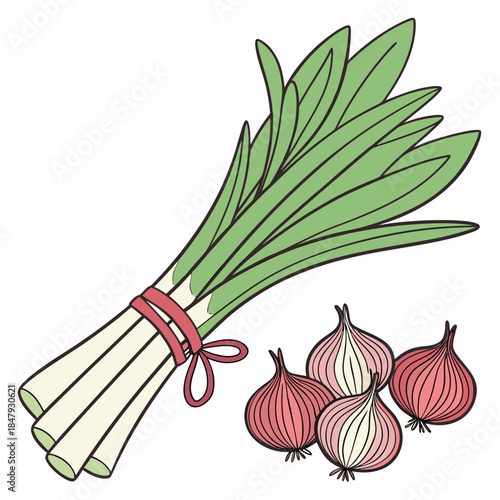 Bunch of green onions tied with red ribbon and red onions