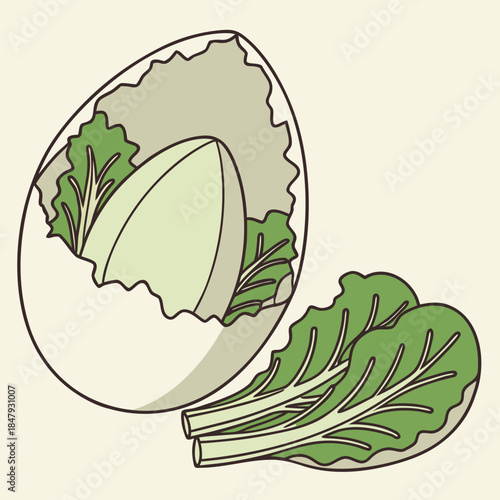 Bok choy vegetable leaves leafy greens green food