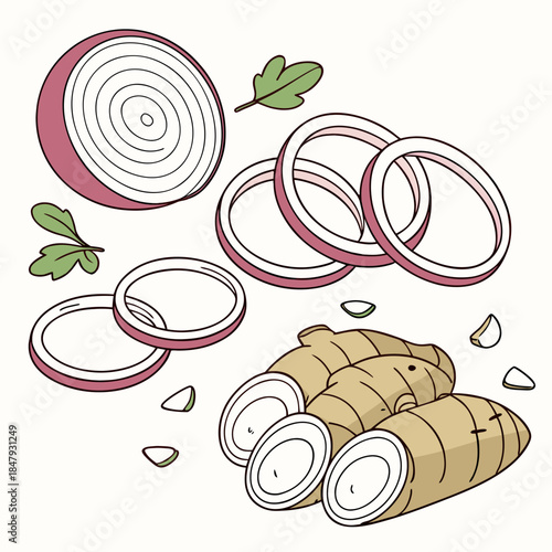 Sliced red onion and ginger root with green leaves