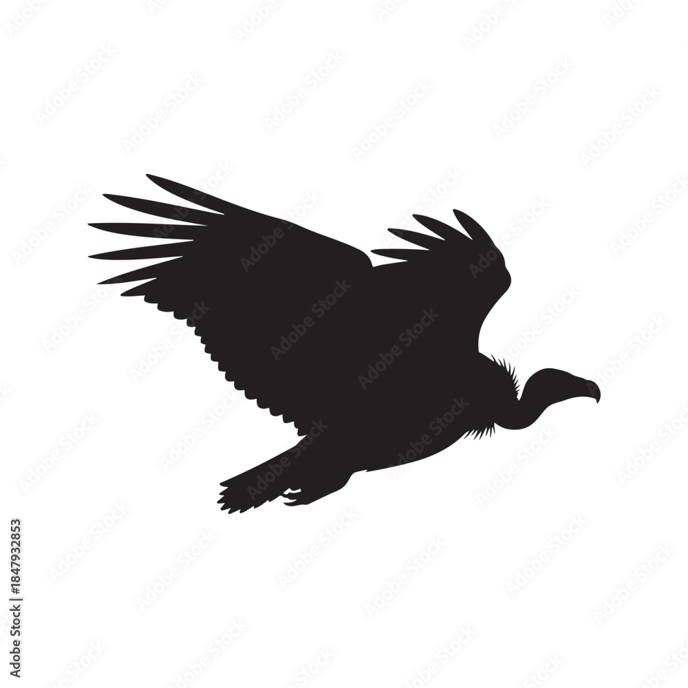 Obraz premium vultur silhouette vector flat illustration on white background