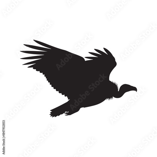 vultur silhouette vector flat illustration on white background