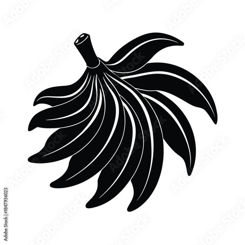 Plantain Bunch Tropical Fruit Vector