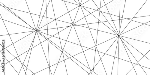 abstract black lines with white background. Creative and geometric shape with white luxury pattern and paper texture design in illustration with white line illustration.