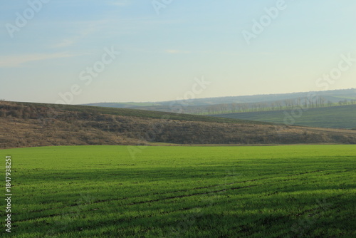 A field with a hill and trees in the background