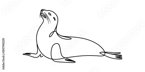 Elegant continuous line art drawing of a majestic seal looking skyward with a graceful pose Vector, illustration