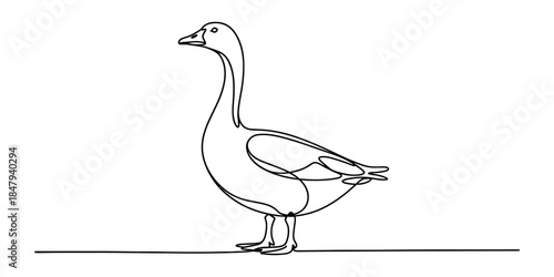 Elegant continuous single line art drawing of a goose in profile view on white background Vector, illustration