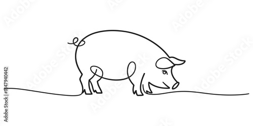 A minimalist continuous line art illustration of a cheerful pig sniffing the ground Vector, illustration