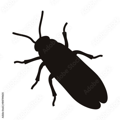 Silhouette of a cockroach with long antennae and six legs on white background