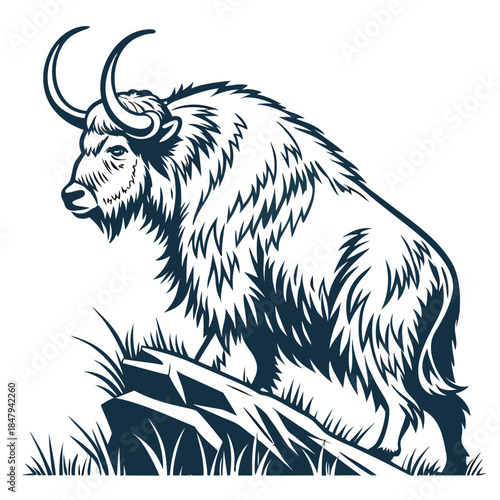 vector animal image free download 