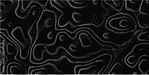 Abstract black and white topographic map-like pattern with swirling contour lines and circular shapes, creating a visually complex and organic design, suitable for backgrounds and artistic concepts