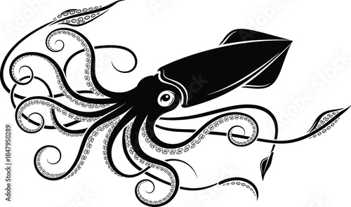 Detailed squid silhouette with swirling tentacles, marine sea creature illustration showcasing underwater wildlife elegance, ocean design and aquatic art concept