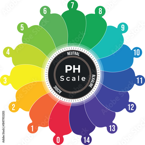 Circular pH Scale Diagram with Acidic, Neutral, and Alkaline Ranges