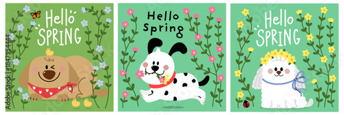 Hello spring greeting card with cute dachshund puppy, poodle, dog and flowers. Animal cartoon characters. -Vector