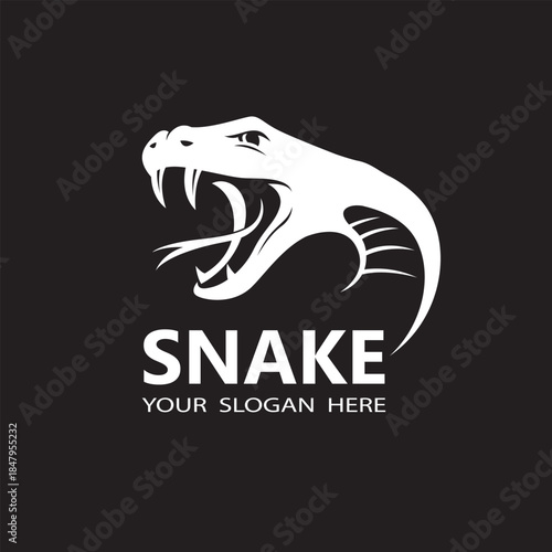 illustration of white snake head isolated on black background