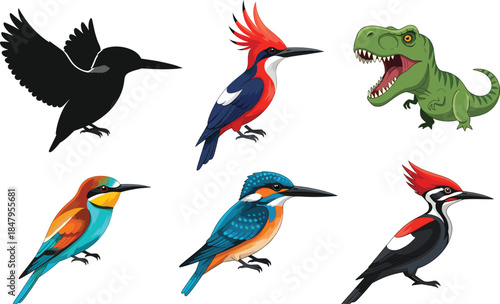 Cartoon Bird and Dinosaur Illustration Set Featuring Woodpecker, Kingfisher, Colorful Birds, Silhouette Style, and Cute T Rex Character for Wildlife and Kids Design